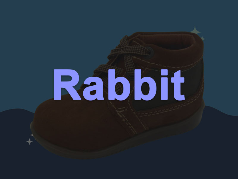 Rabbit - Bebés